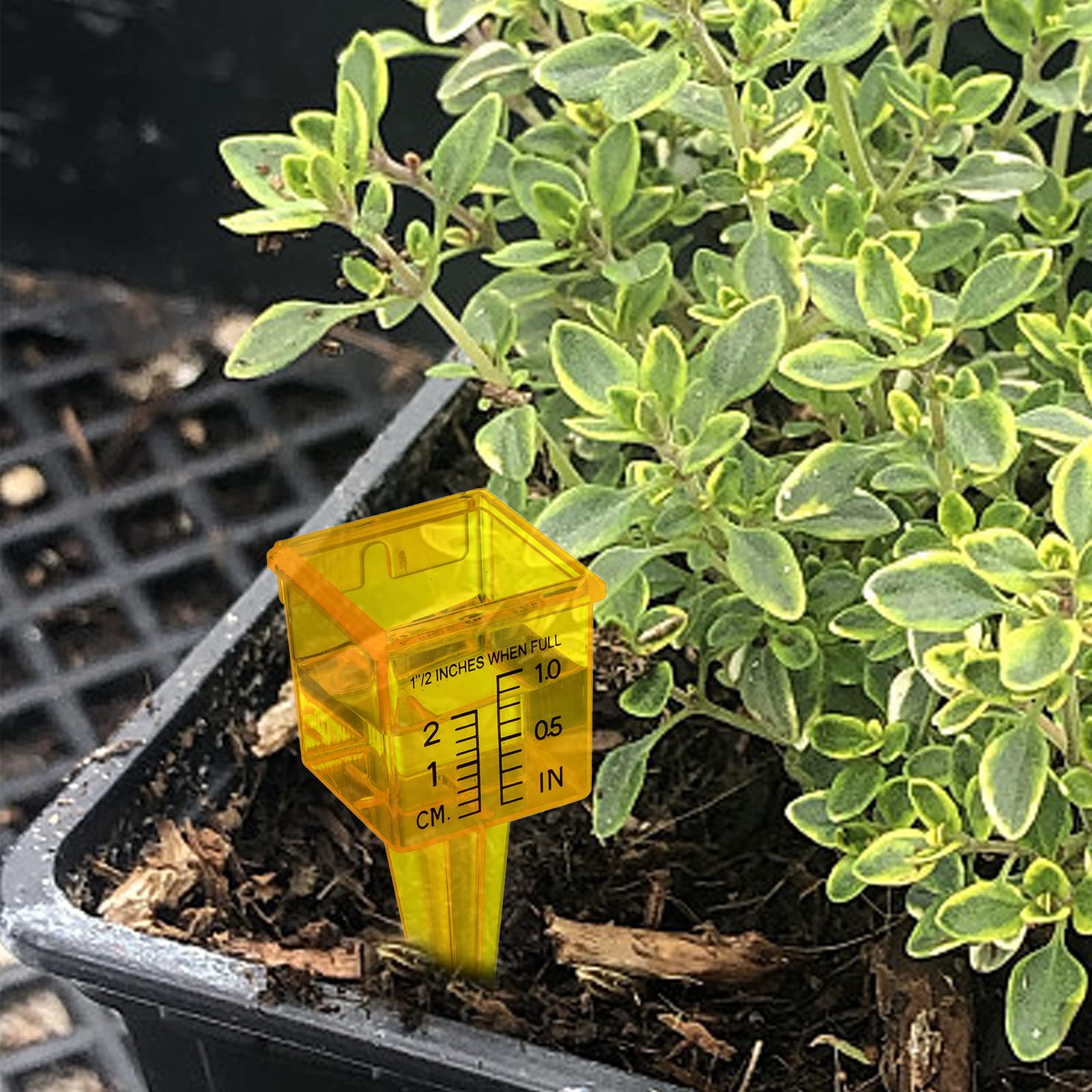 Okllen easy-to-read numerals aid quick measurements