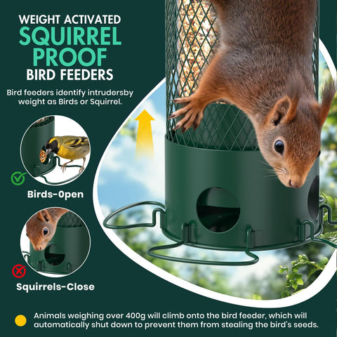 Olaiti squirrel-proof bird feeder with open lid ready for refills.