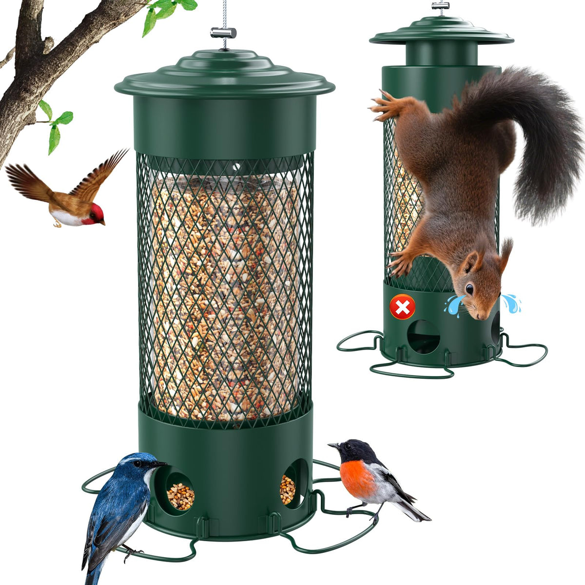 Olaiti squirrel-proof bird feeder side view shows four perches for multiple birds.