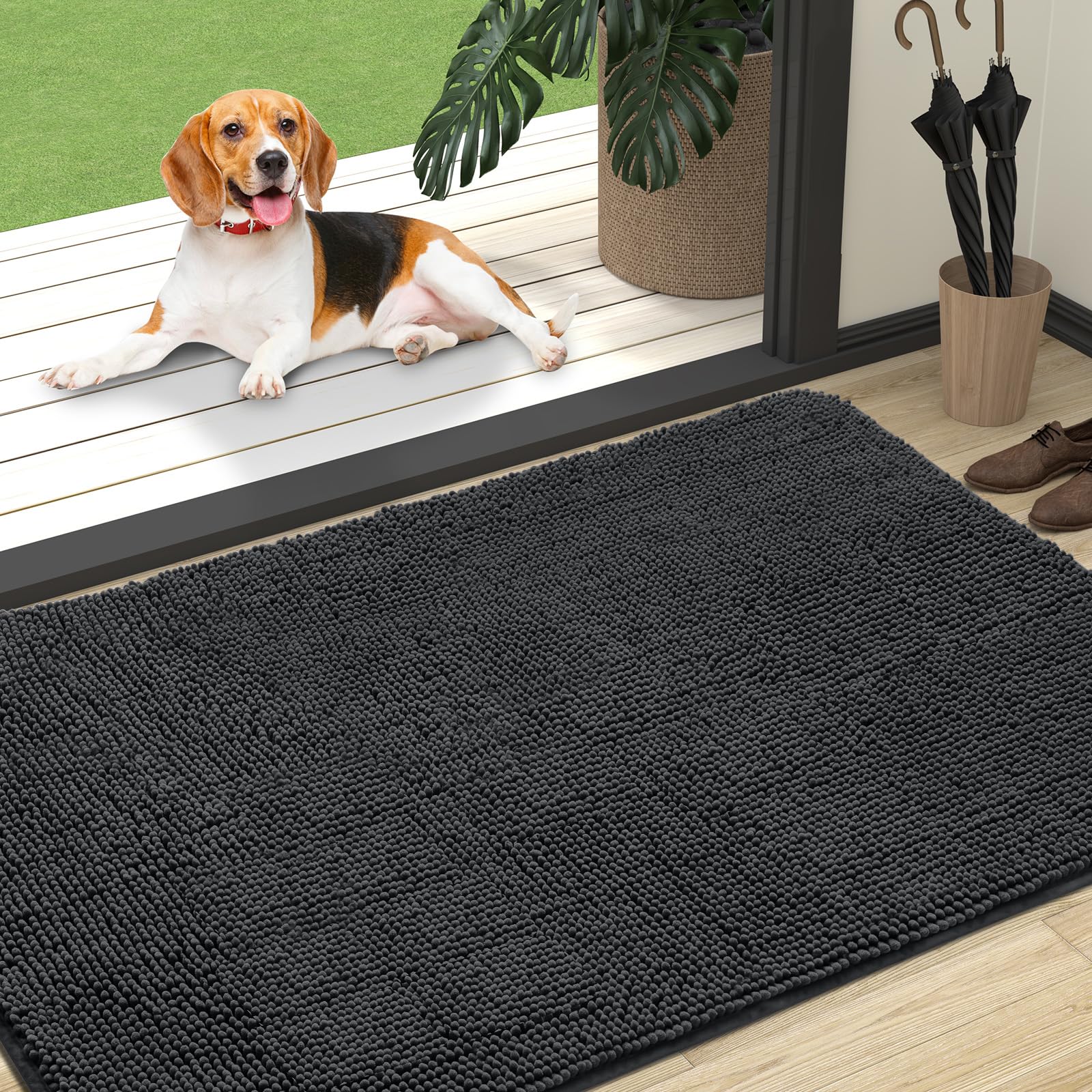 OLANLY dog door mat with plush chenille for muddy paws and quick moisture absorption.