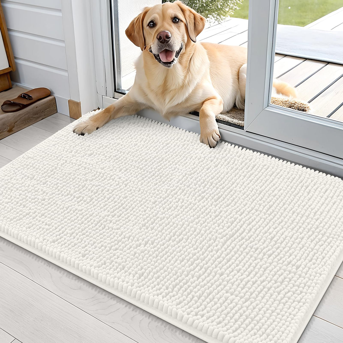 OLANLY dog door mat with absorb moisture and dirt for muddy paws.