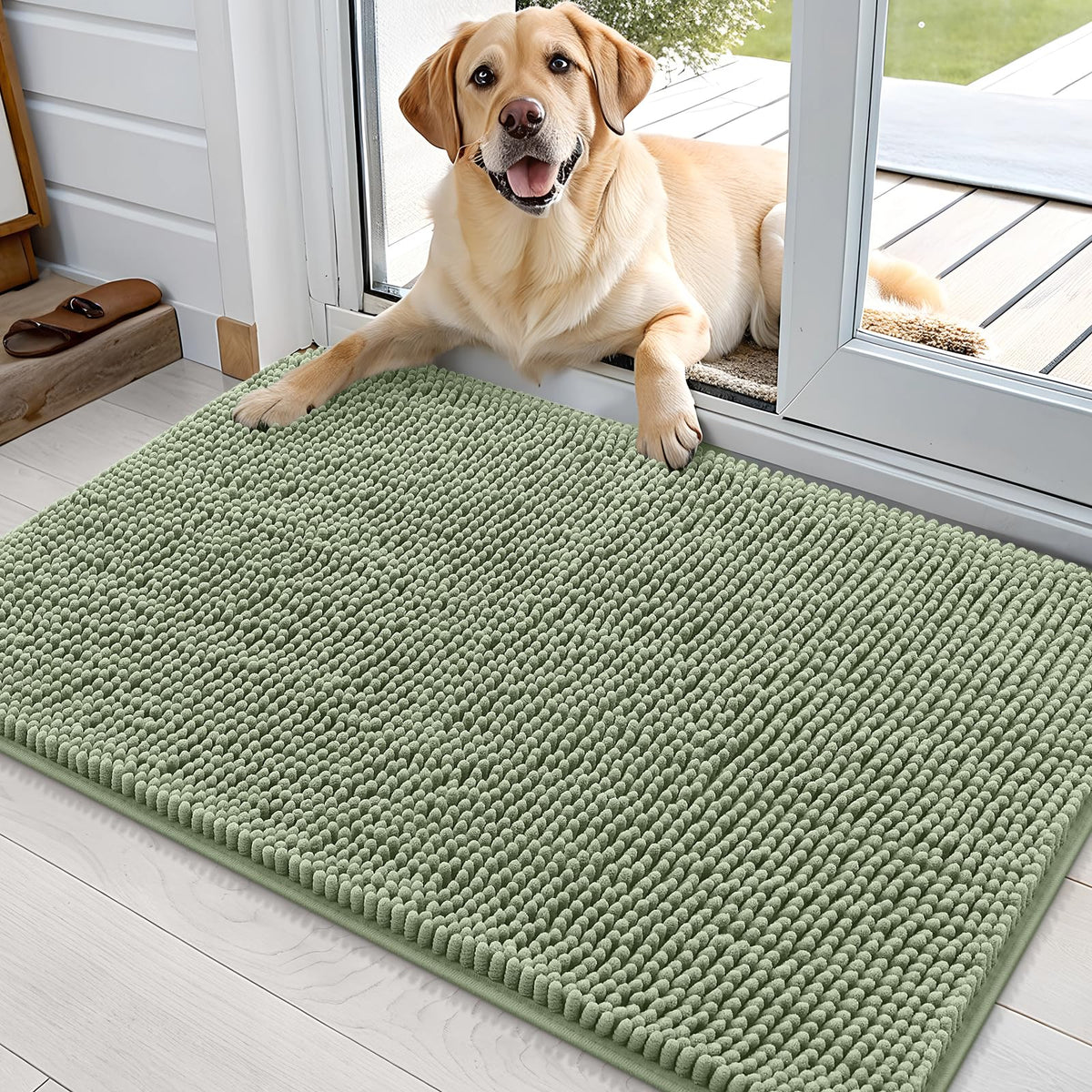 OLANLY dog door mat showing moisture absorption keeps entryways dry