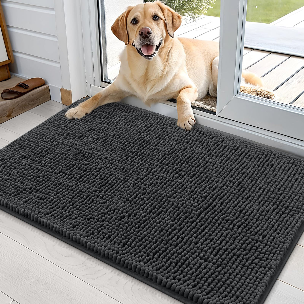 OLANLY dog door mat chenille-soft surface for a plush entryway.