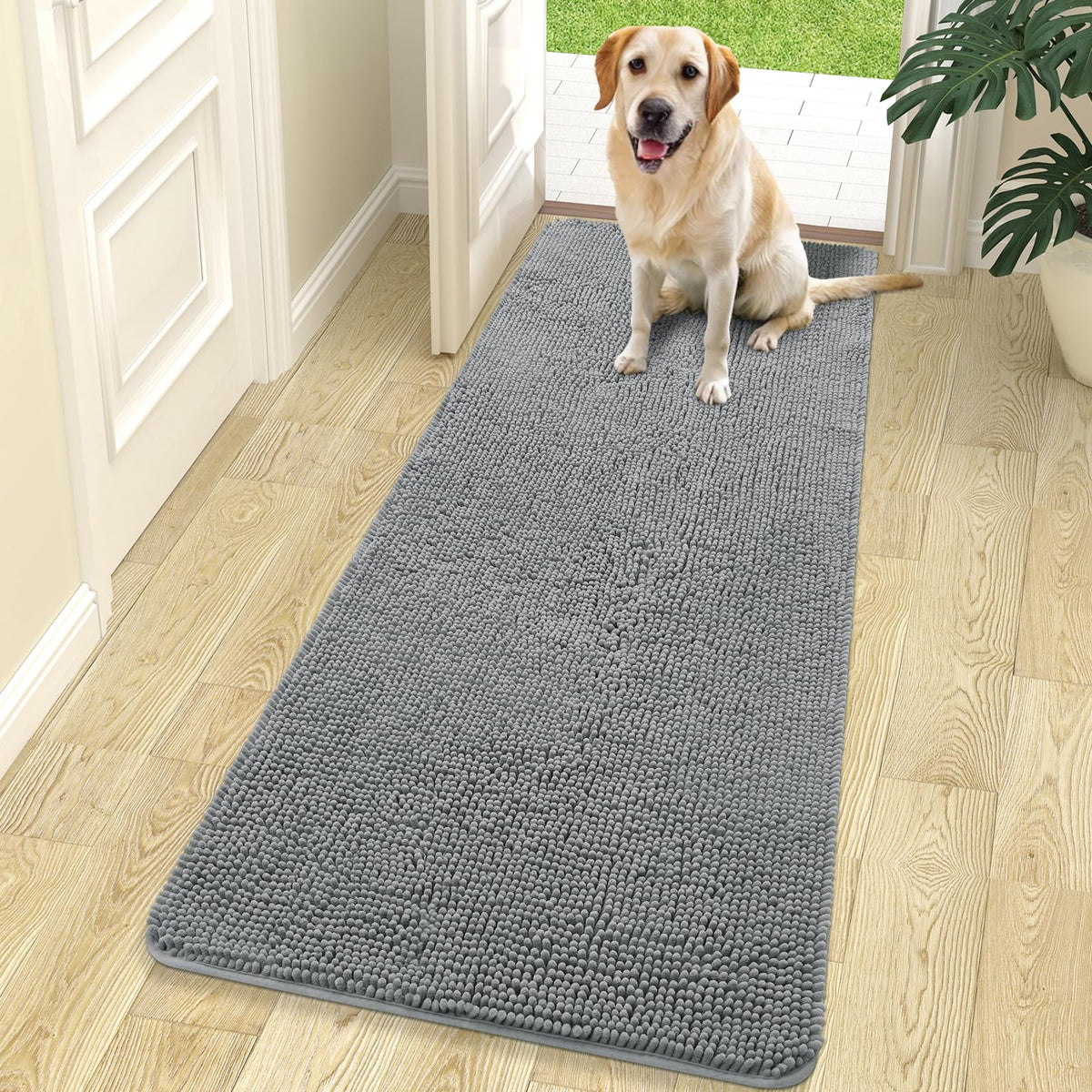 OLANLY dog door mat for muddy paws, absorbing moisture to keep entryways clean.