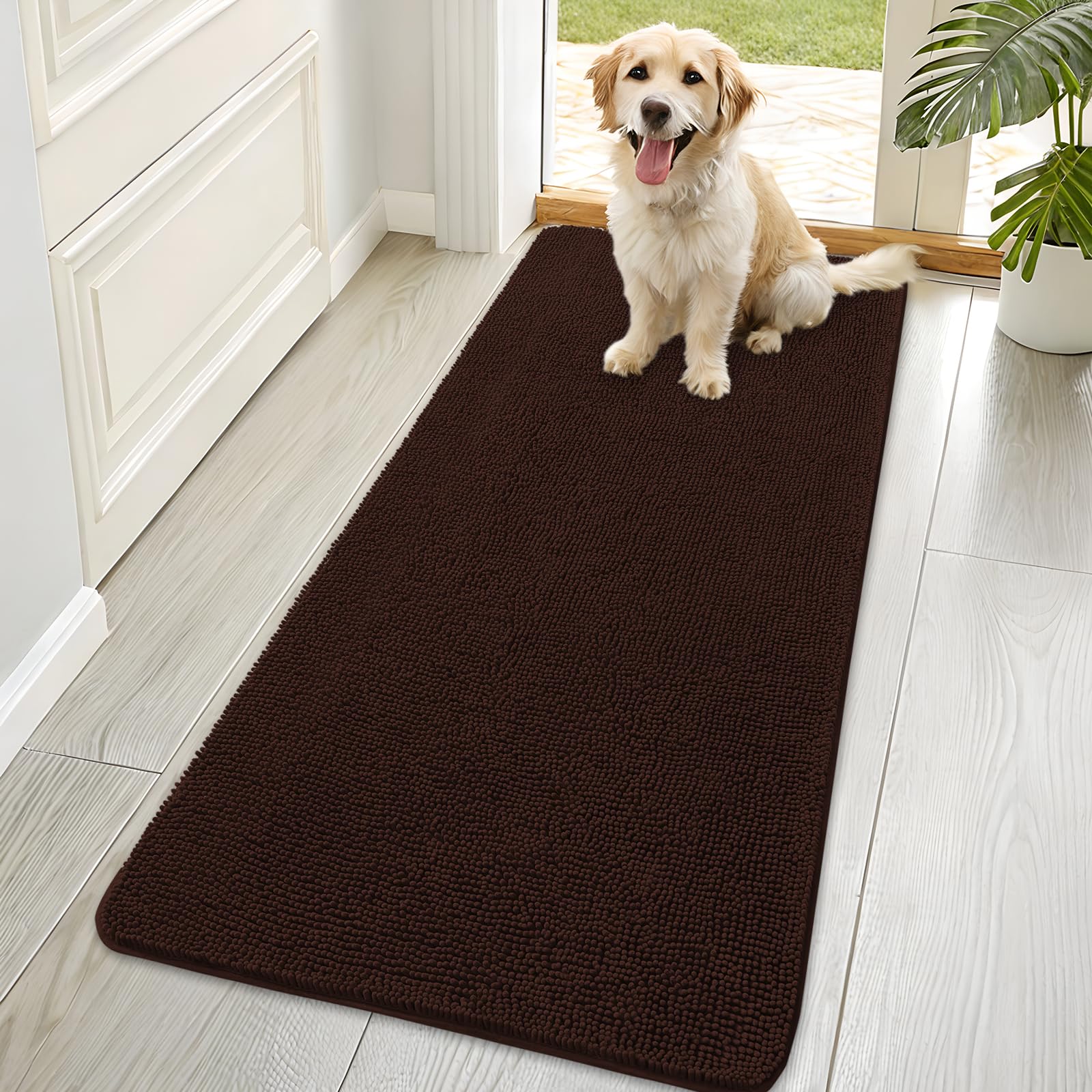 OLANLY Dog Door Mat Muddy Paws traps mud and moisture at the doorway.