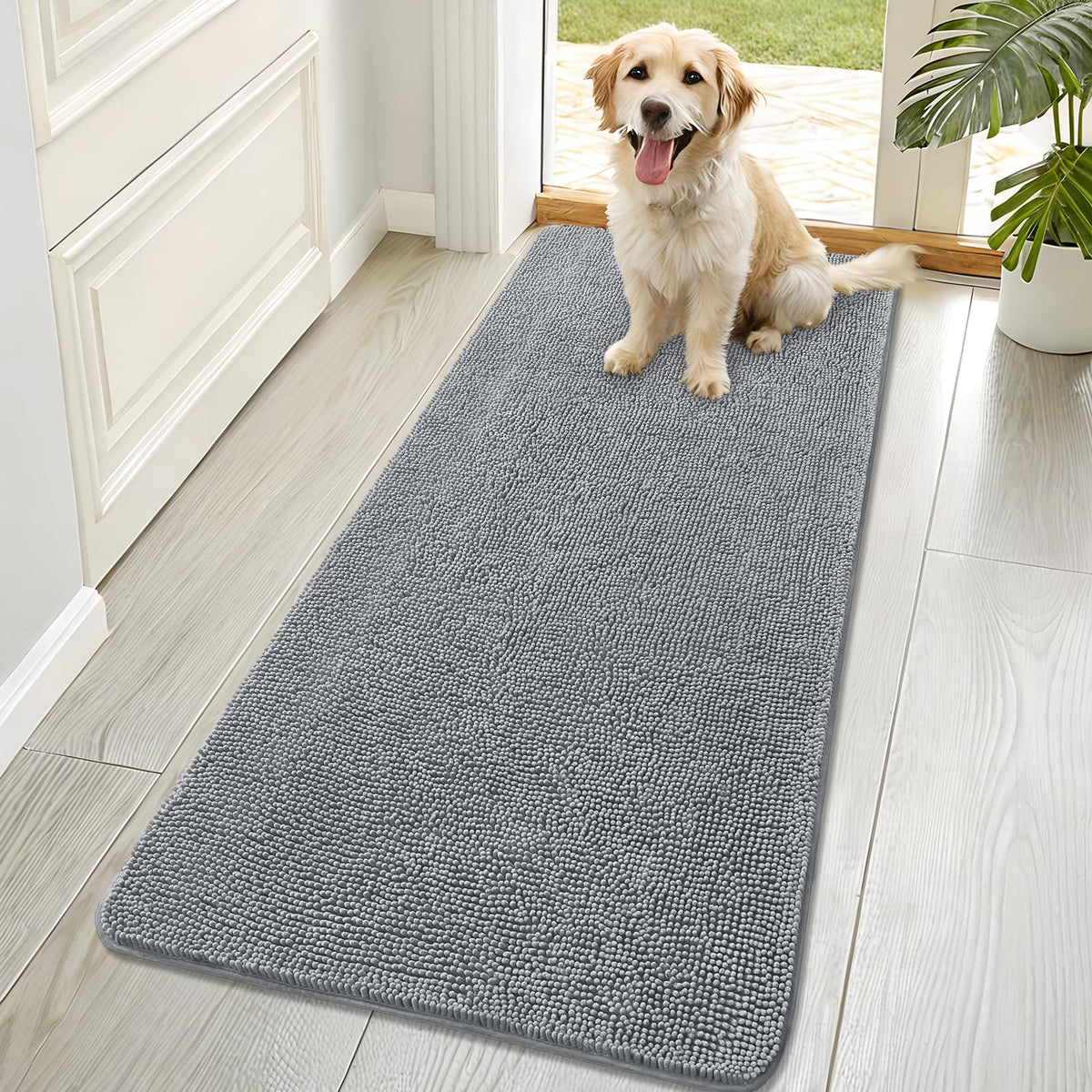 OLANLY dog door mat shows muddy paws and absorbed moisture at the threshold, keeping entry clean.