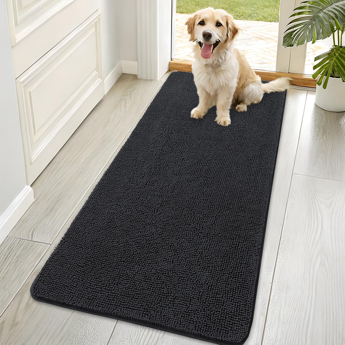 OLANLY dog door mat with muddy paws soaks moisture to keep floors dry