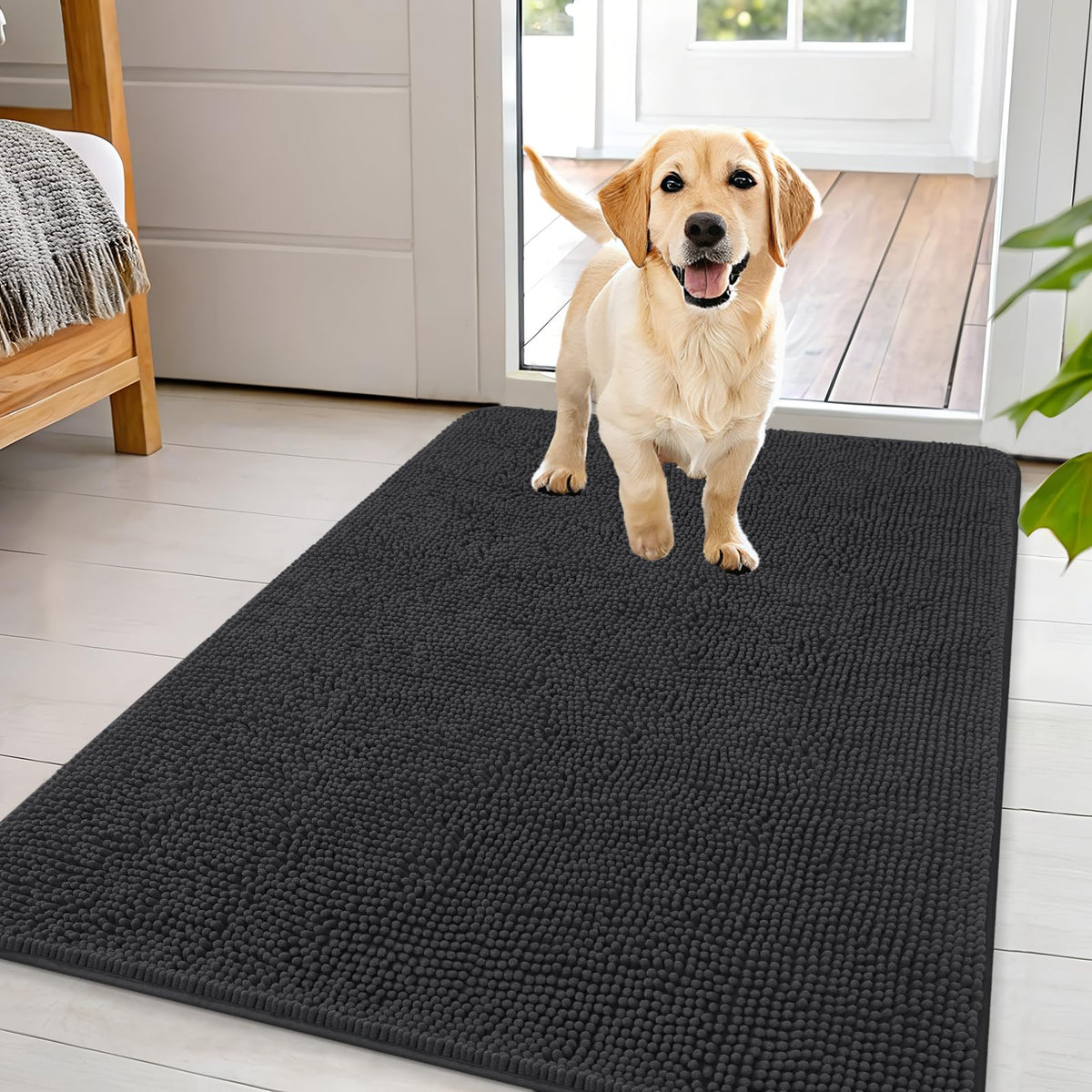 OLANLY dog door mat plush chenille entryway traps mud and adds cozy comfort.