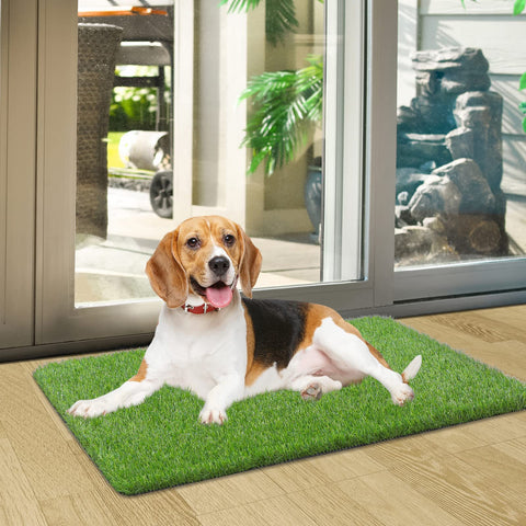 OLanto easy-care door mat enabling quick rinse and sun-dry to restore shape.