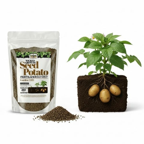 Wicked Growth in-soil application provides balanced nutrition for healthy potato growth.