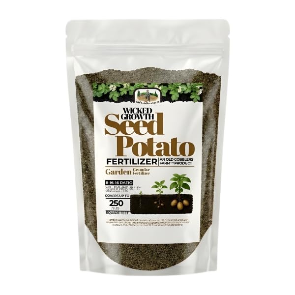 Old Cobblers Farm Wicked Growth fertilizer bottle promotes steady root development for potatoes.