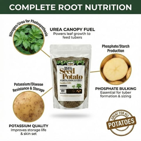 Wicked Growth nourishes soil for long-term potato health.