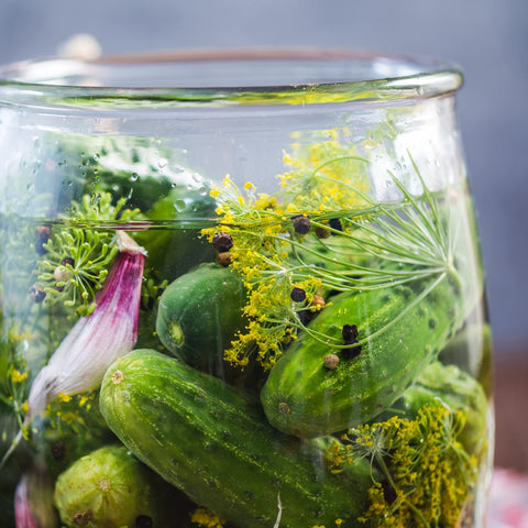 The Old Farmer's Almanac dill blossoms invite beneficial garden pollinators