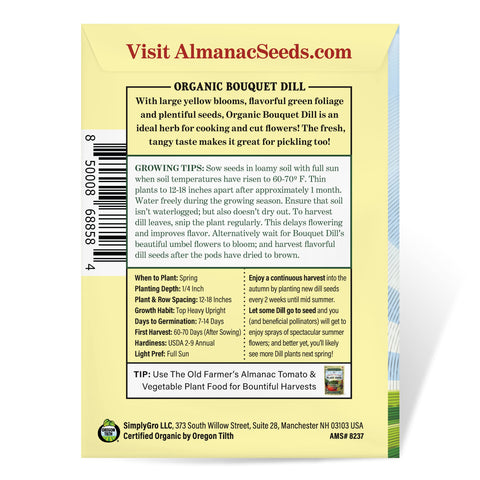 The Old Farmer's Almanac dill umbels in bloom attract pollinators
