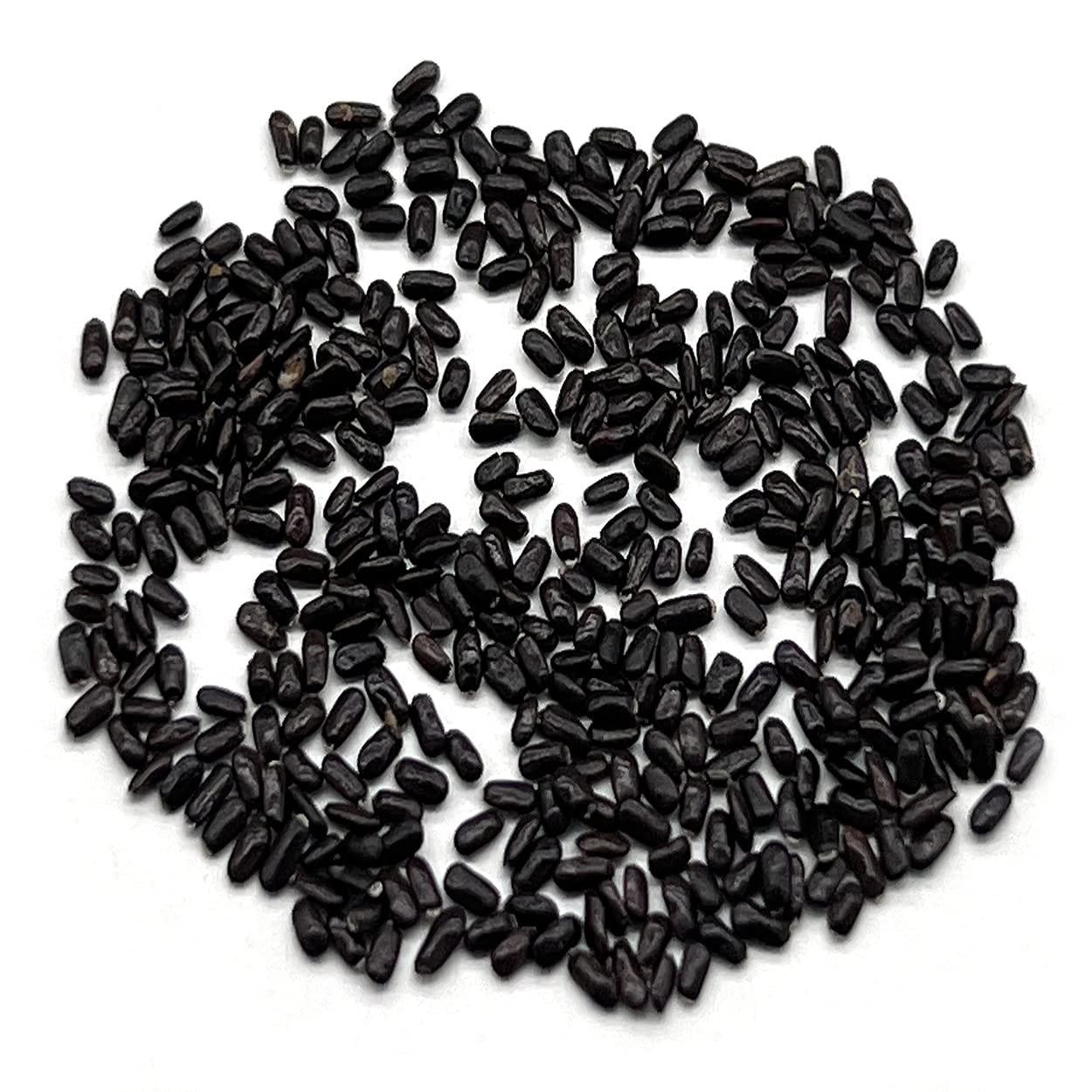 Lavender seeds germinating in soil from The Old Farmer's Almanac