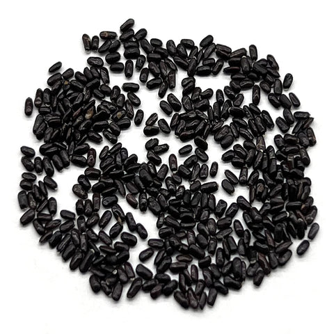 Lavender seeds germinating in soil from The Old Farmer's Almanac