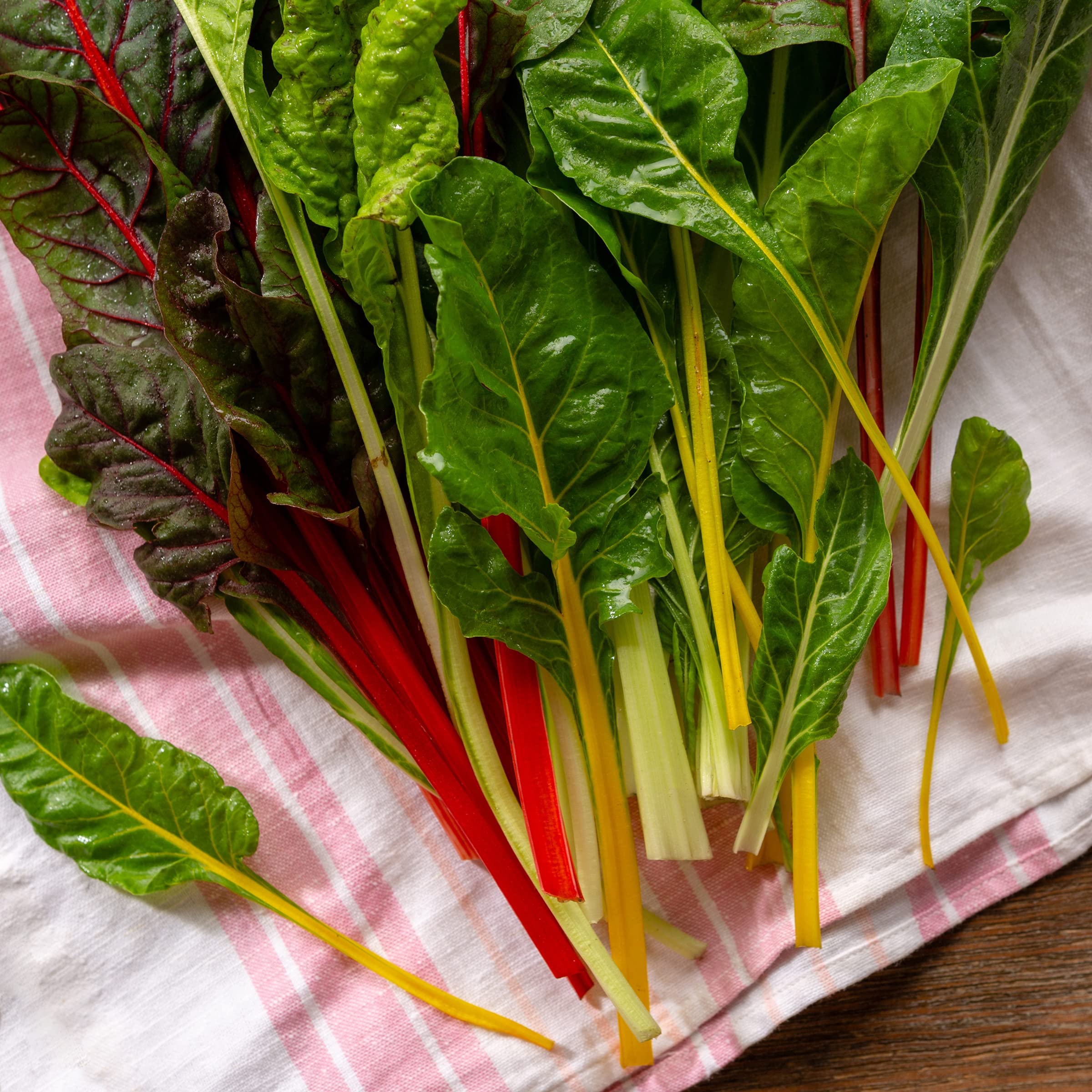 Fresh rainbow Swiss chard leaves with multicolor stalks ready for cooking
