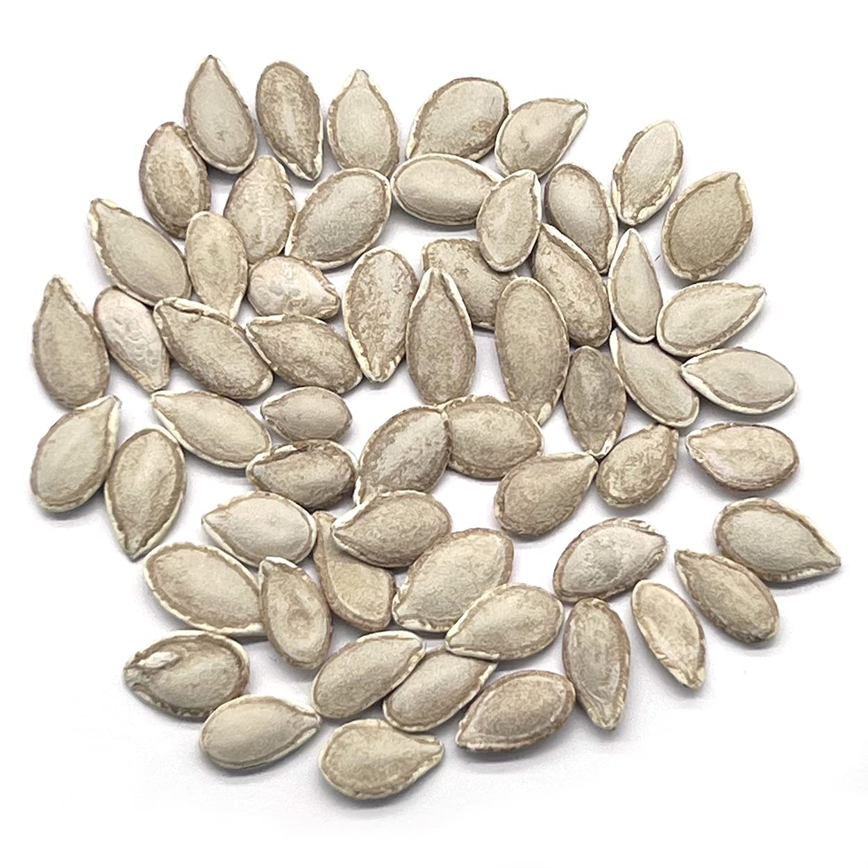 The Old Farmer's Almanac Waltham Butternut seeds packet back shows planting tips for success