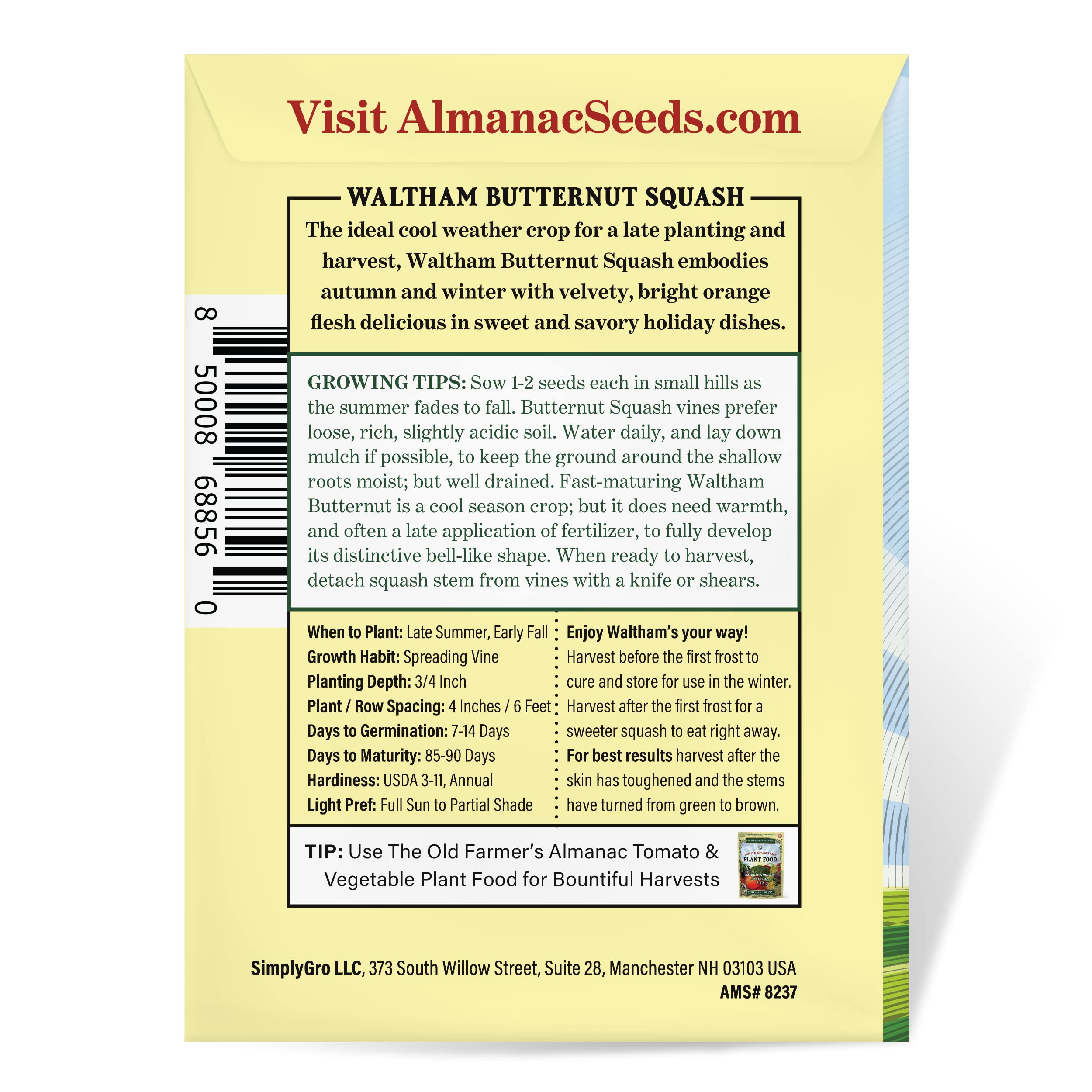 The Old Farmer's Almanac Waltham Butternut seeds seedling-stage image highlights early growth