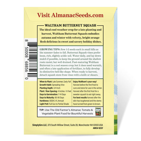 The Old Farmer's Almanac Waltham Butternut seeds seedling-stage image highlights early growth