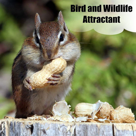 Old Potters backyard birds benefit from easy-to-dispense peanut treats.