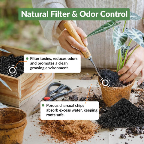 Old Potters charcoal chips demonstrate soil structure staying airy and dry.
