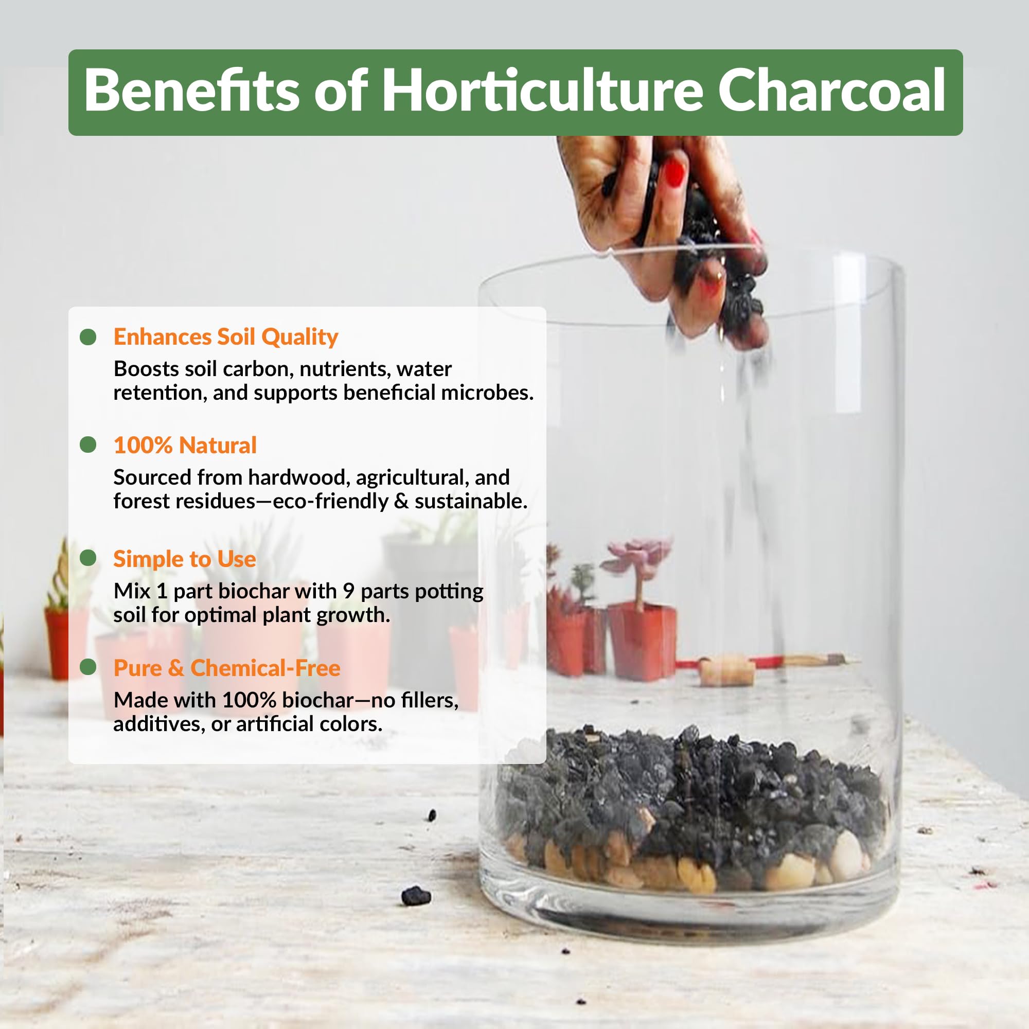 Old Potters charcoal chips layered into soil to improve drainage and aeration.