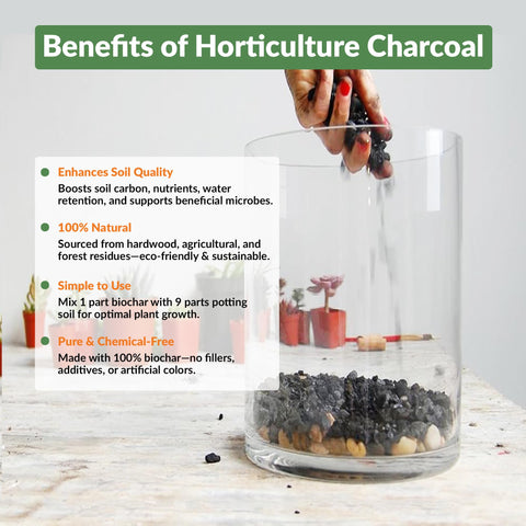 Old Potters charcoal chips layered into soil to improve drainage and aeration.