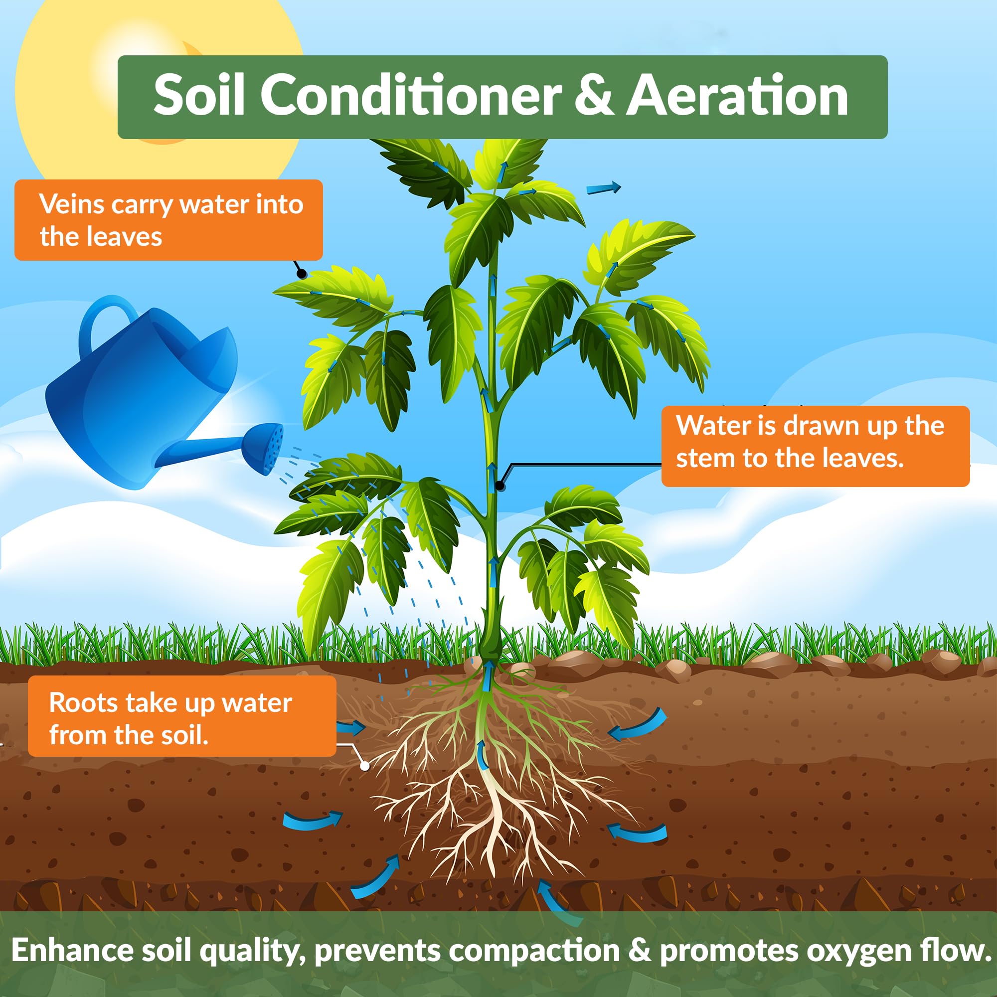 Old Potters charcoal chips absorb moisture to prevent overwatering in containers.