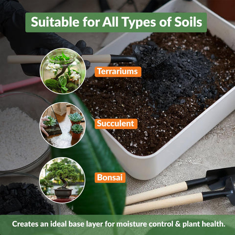 Old Potters charcoal chips in orchid potting mix supporting healthy root growth.