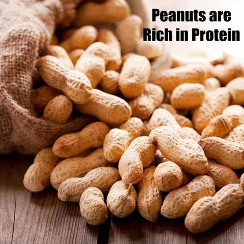 Old Potters non-GMO peanuts offer a healthier option for wildlife.