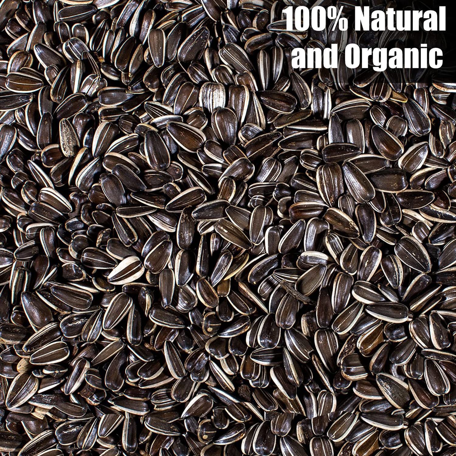 Old Potters non-GMO sunflower seed bag for natural bird nutrition.