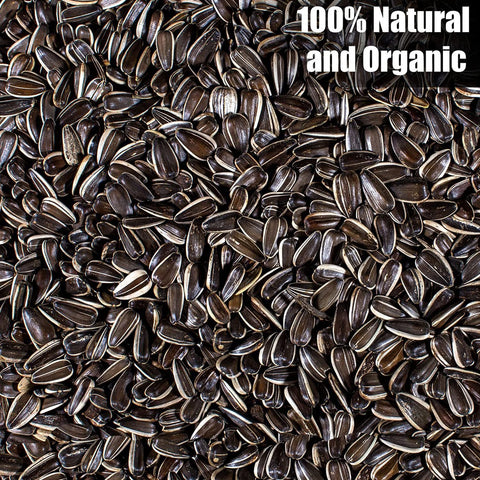 Old Potters non-GMO sunflower seed bag for natural bird nutrition.