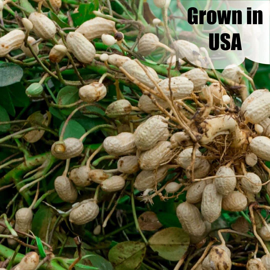Old Potters small-farm USA-grown peanuts highlight local sourcing.