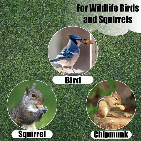 Old Potters USA-grown non-GMO peanuts support backyard wildlife.