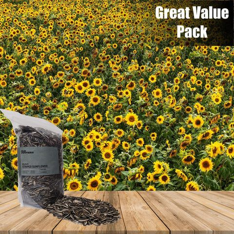 Old Potters USA small-farm grown seed for regional wildlife support.