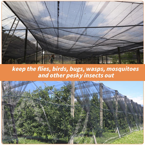 Oleitodh plant protection netting shielding young plants while preserving light