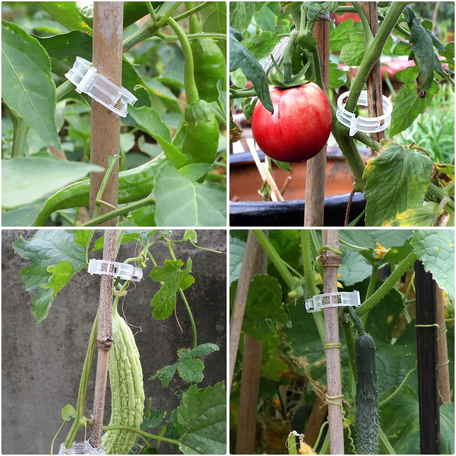 Oligei durable trellis clip design offers reusable garden solution over seasons.