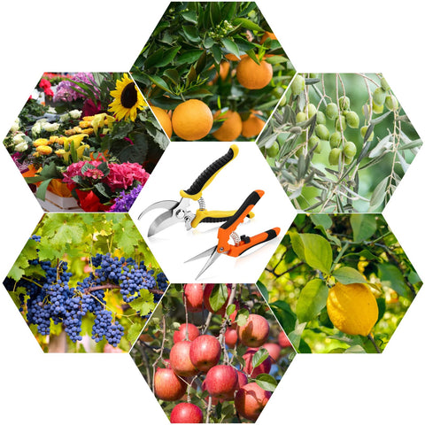 Oligei pruning shears easy maintenance guidance for longer tool life.
