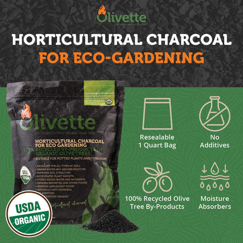 Olivette biochar moisture-control soil enhances terrarium and potting mix performance.