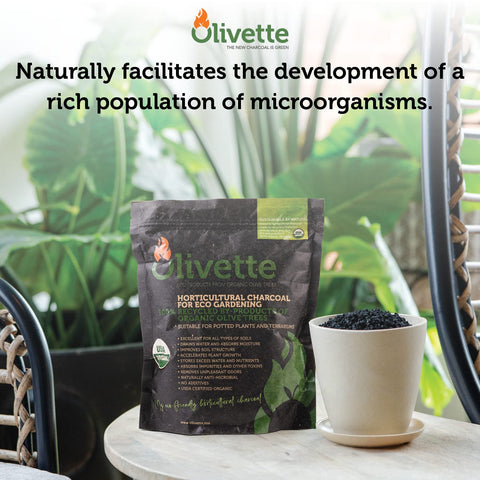 Olivette biochar organic-certified charcoal reduces soil compaction and supports microbes.