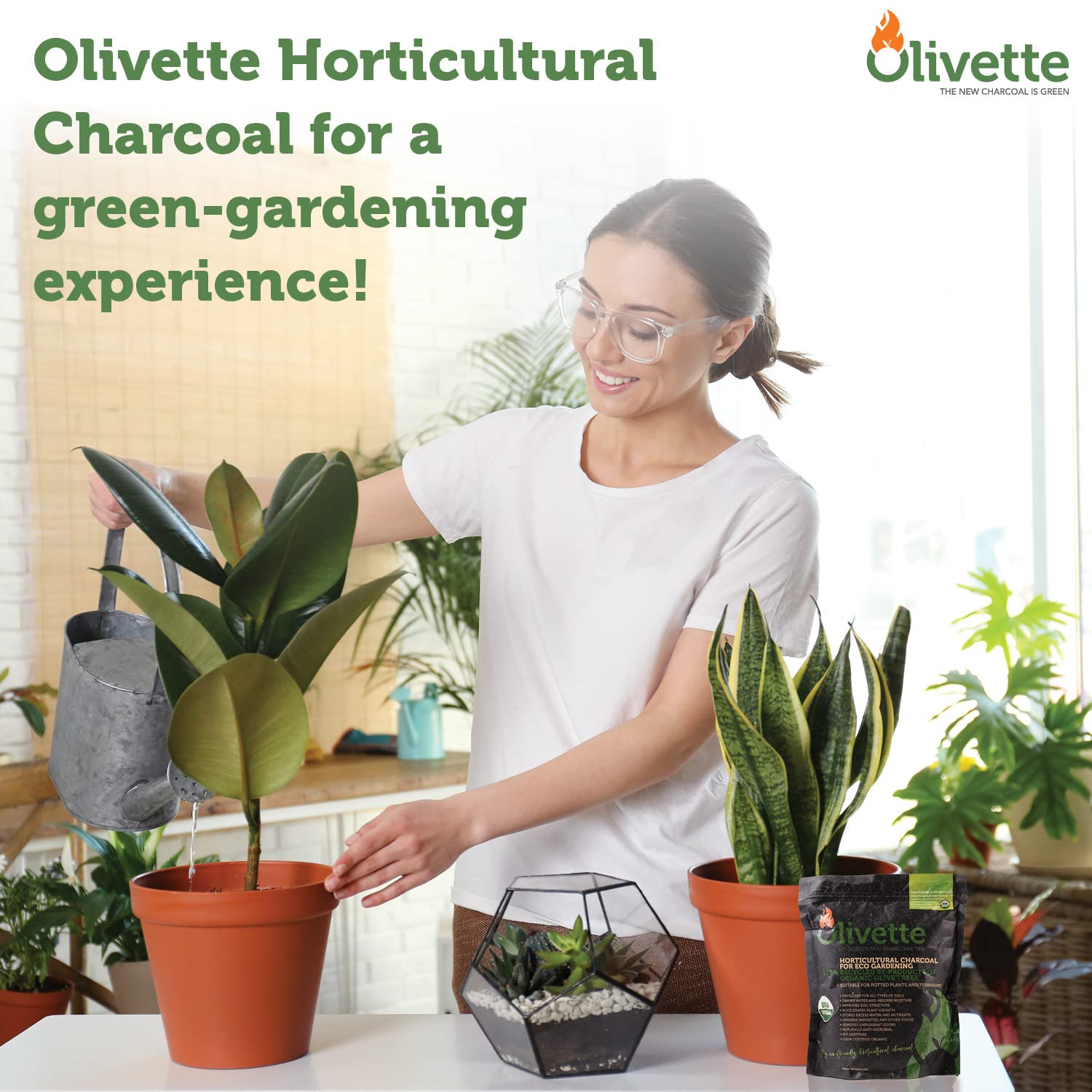 Olivette biochar USDA Organic certified and carbon-neutral charcoal.