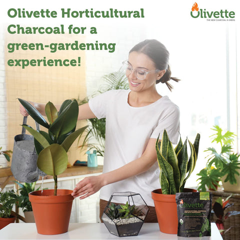 Olivette biochar USDA Organic certified and carbon-neutral charcoal.