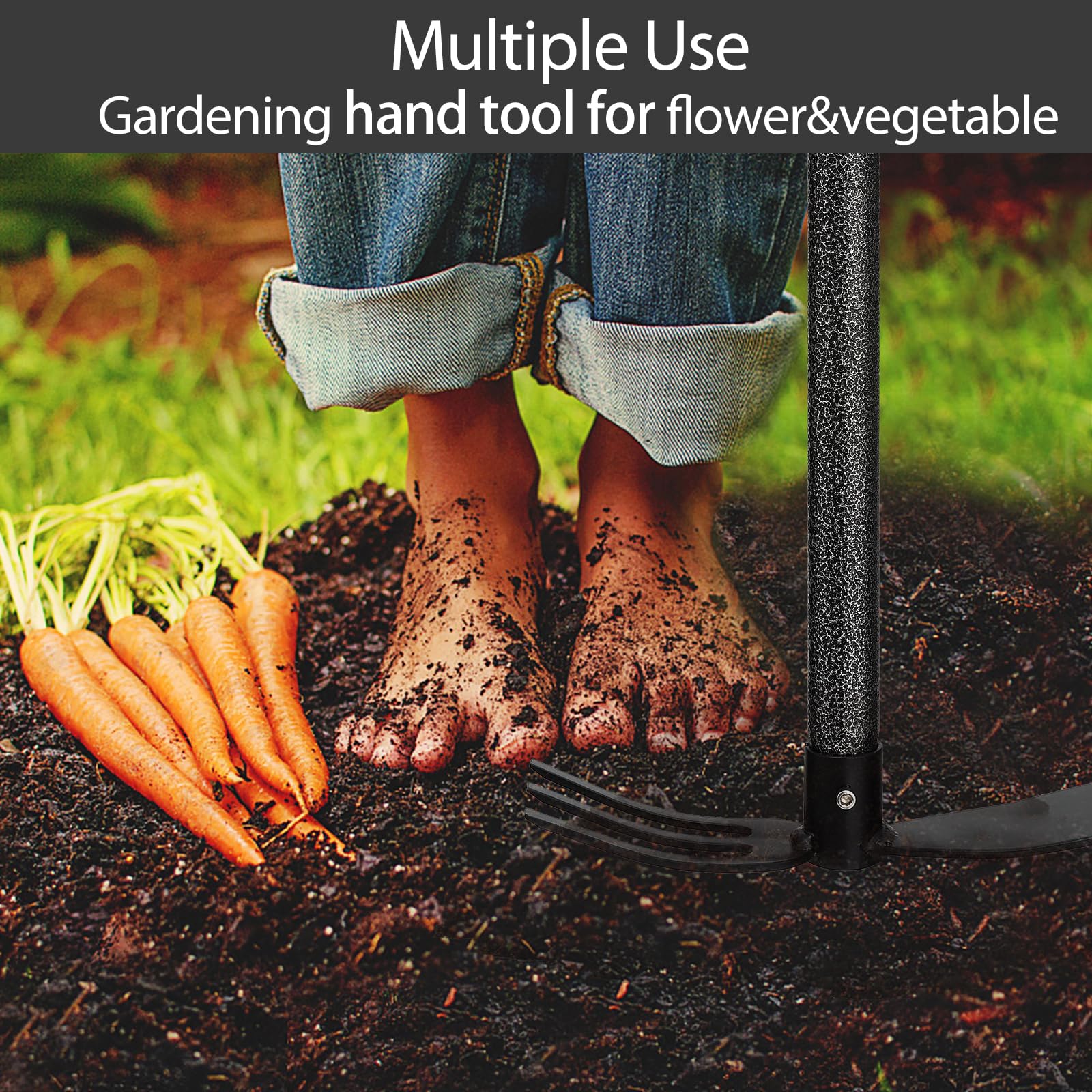 Oliynedy all-in-one hoe and cultivator in use in flower bed.