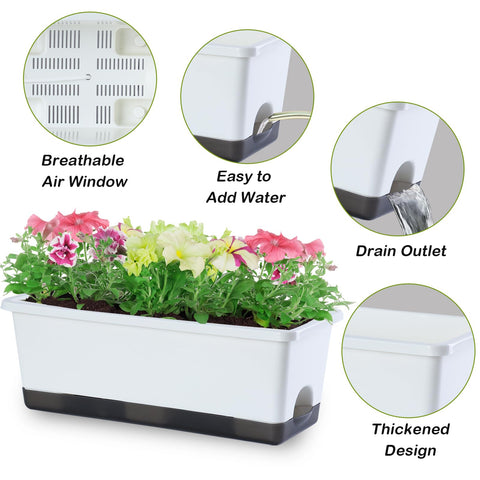 Oliz absorbent cotton rope wick for steady watering and healthy roots.