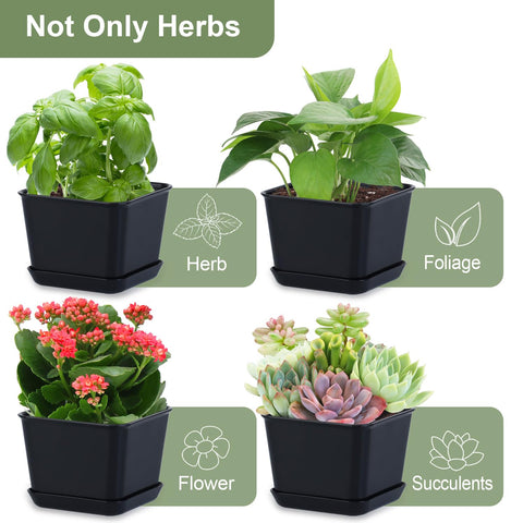 Oliz black window planter set adds a modern look to interiors.