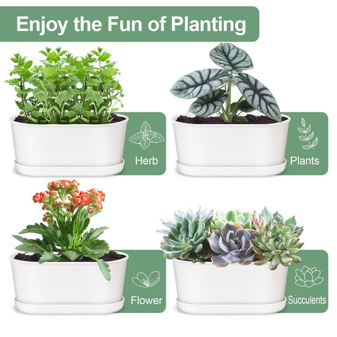 Oliz compact herb planters with trays for indoor outdoor use