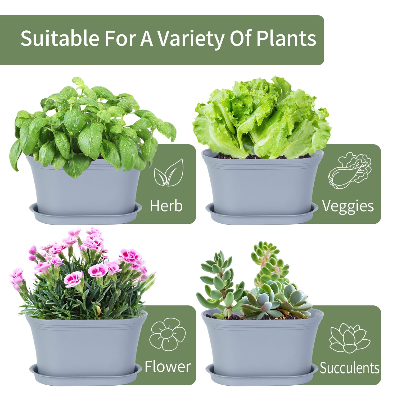 Oliz compact windowsill herb garden fits small spaces with sun exposure.
