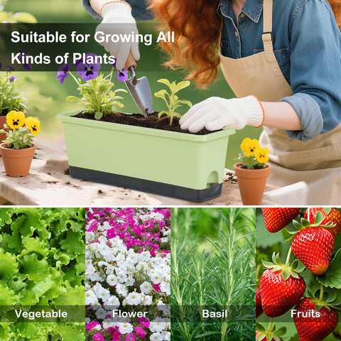 Oliz planter with cotton rope wick system for steady moisture.
