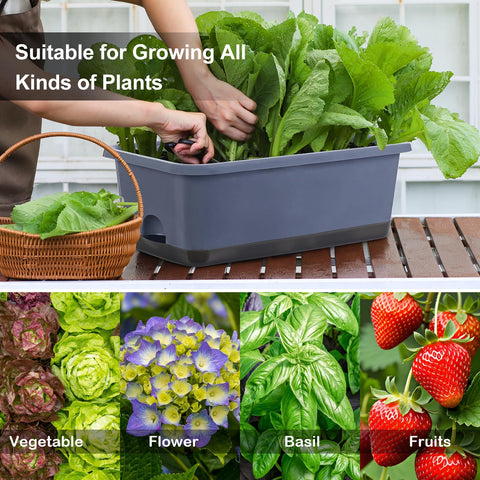 Oliz planters feature drainage holes and air holes for healthy roots